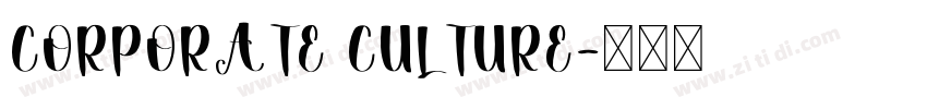 CORPORATE CULTURE字体转换